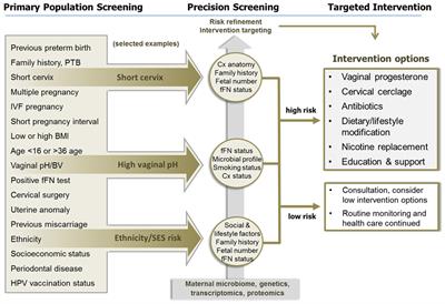 Applying Precision Public Health to Prevent Preterm Birth